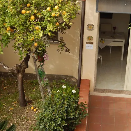 Nel Giardino Di Nunziatina *