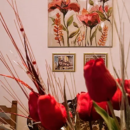 Apartment Nel Giardino Di Nunziatina *