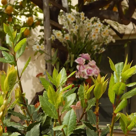Nel Giardino Di Nunziatina * Syrakus