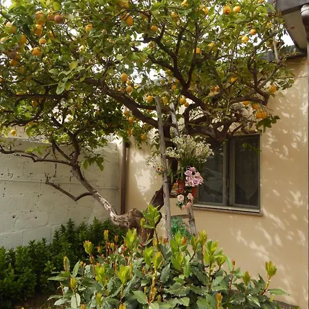 Apartment Nel Giardino Di Nunziatina
