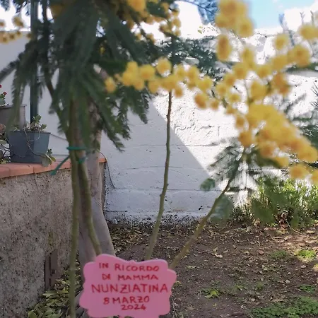 Nel Giardino Di Nunziatina דירה סירקוזה
