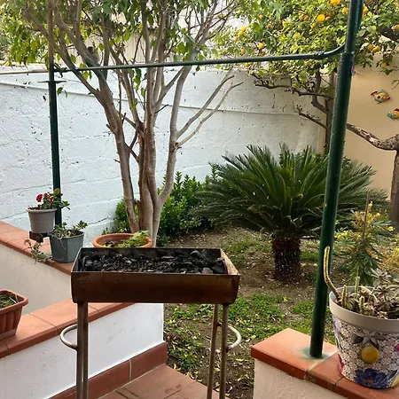 Nel Giardino Di Nunziatina