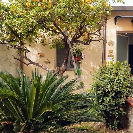 Nel Giardino Di Nunziatina