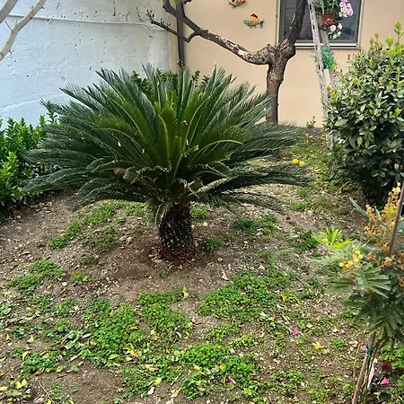 Nel Giardino Di Nunziatina * Syrakus
