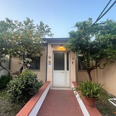 Nel Giardino Di Nunziatina סירקוזה