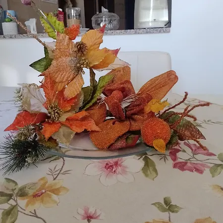 Apartment Nel Giardino Di Nunziatina *