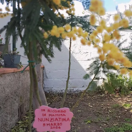 Nel Giardino Di Nunziatina Apartamento Syracuse