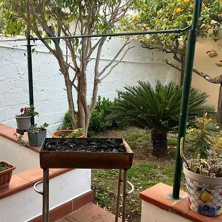 Nel Giardino Di Nunziatina