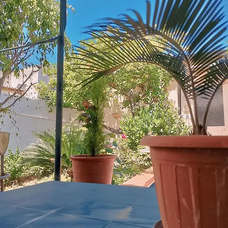Nel Giardino Di Nunziatina *
